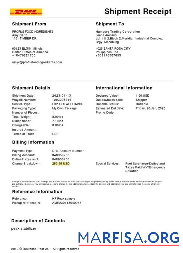 Printable DHL service shipment receipt sample